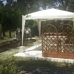 L' Agrumeto Apartment Palmi