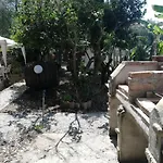 L' Agrumeto Apartment Palmi