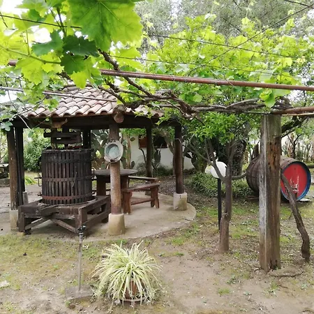 L' Agrumeto Appartamento *