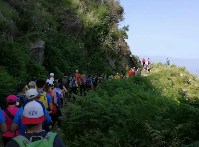 Appartamento L' Agrumeto *