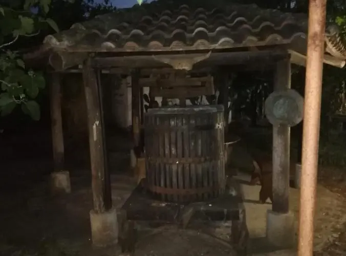 L' Agrumeto Appartamento *