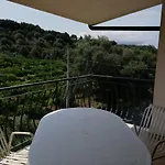 L' Agrumeto 아파트 팔미
