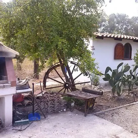 Appartement L' Agrumeto Palmi