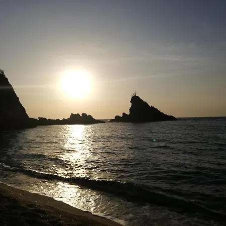 Lejlighed L' Agrumeto Palmi