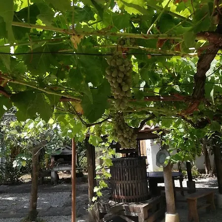 Apartament L' Agrumeto Palmi