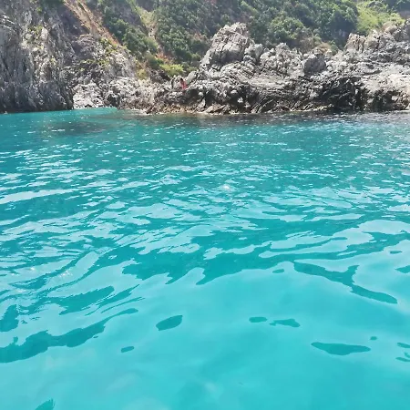 L' Agrumeto * Palmi