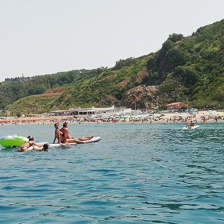 L' Agrumeto Palmi