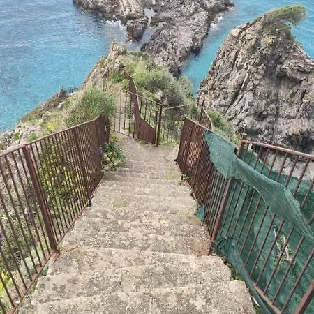 Appartement L' Agrumeto Palmi