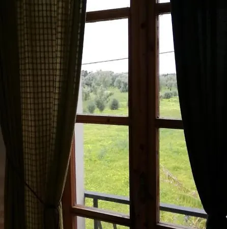 L' Agrumeto * Palmi