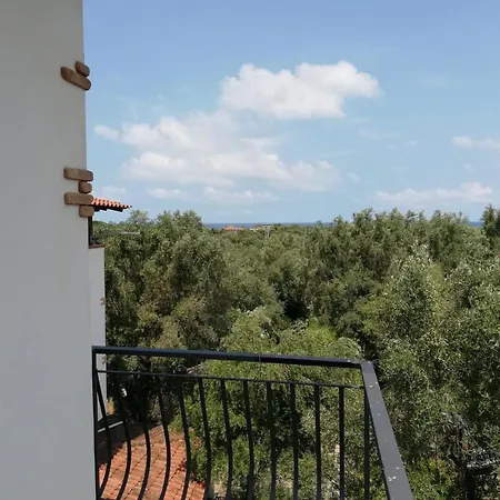 L' Agrumeto Appartement Palmi