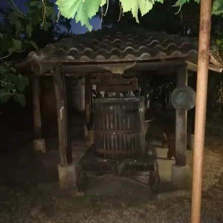 L' Agrumeto Lejlighed *