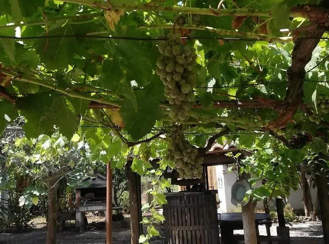 Διαμέρισμα L' Agrumeto Palmi