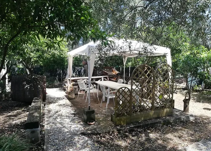 Apartamento L' Agrumeto *